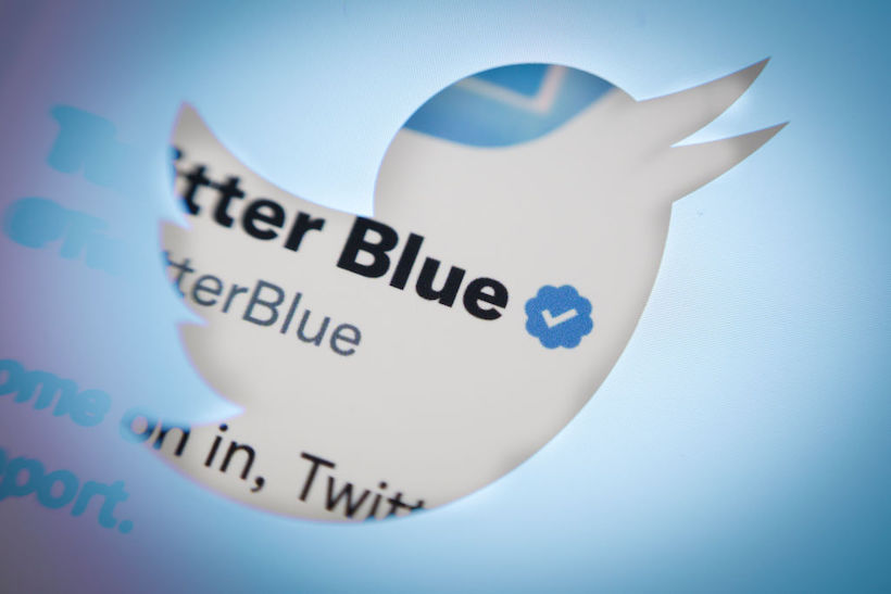 Twitter logo cutout revealing Twitter Blue official Twitter account handle