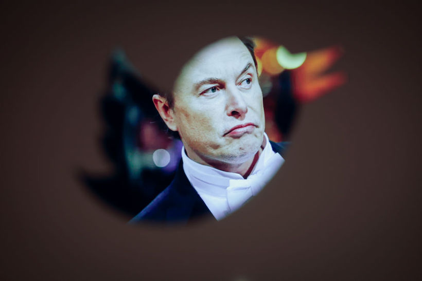 Elon Musk and a Twitter logo are seen in this illustration
